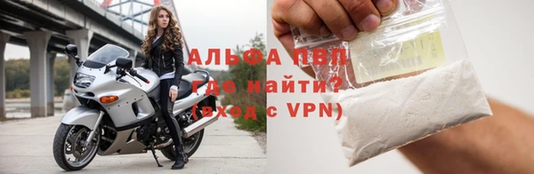 дживик Новозыбков