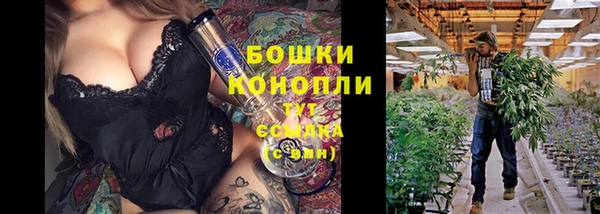 сатива Нефтегорск