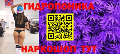спиды Кандалакша