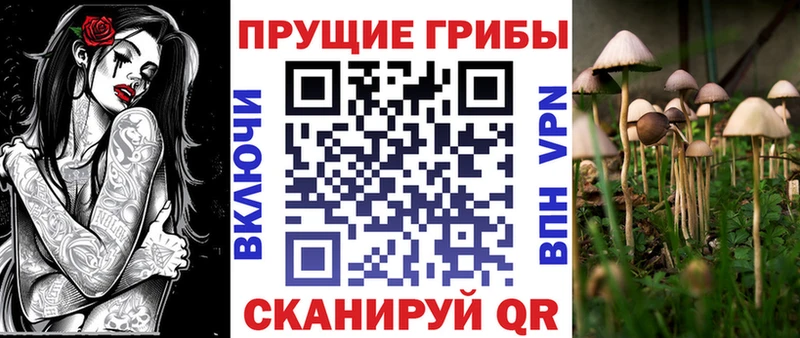 кракен маркетплейс  Назрань  Галлюциногенные грибы MAGIC MUSHROOMS  что такое  