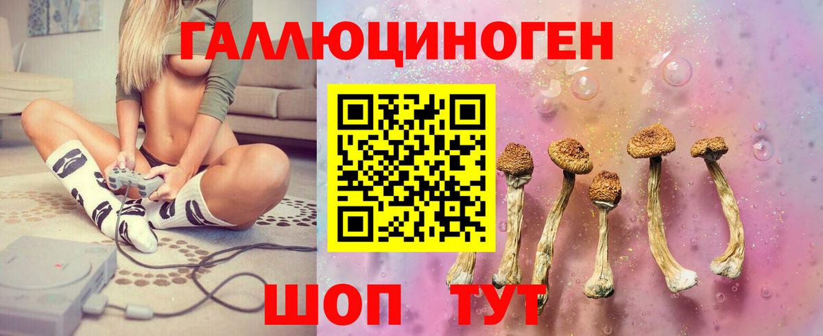 Назрань  Галлюциногенные грибы Psilocybe  Вход с VPN 