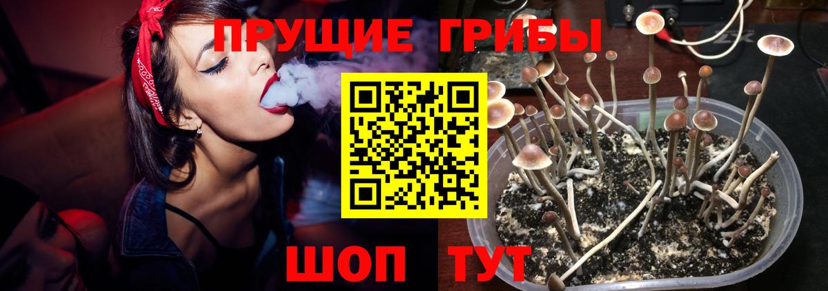 Псилоцибиновые грибы Magic Shrooms Назрань