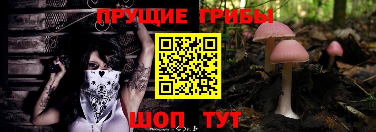 Псилоцибиновые грибы мухоморы Назрань