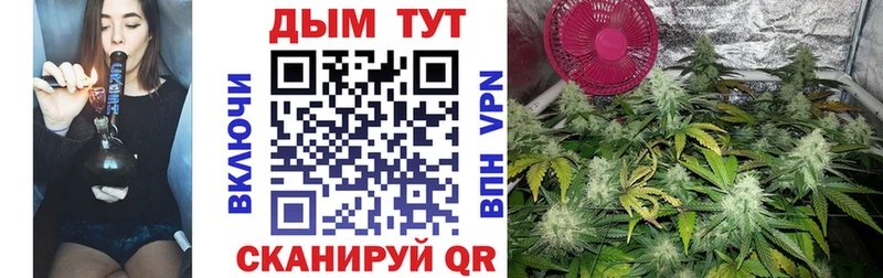 как найти закладки Назрань Шишки марихуана Amnesia